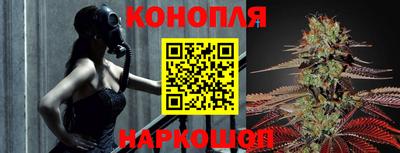 спайс Берёзовский