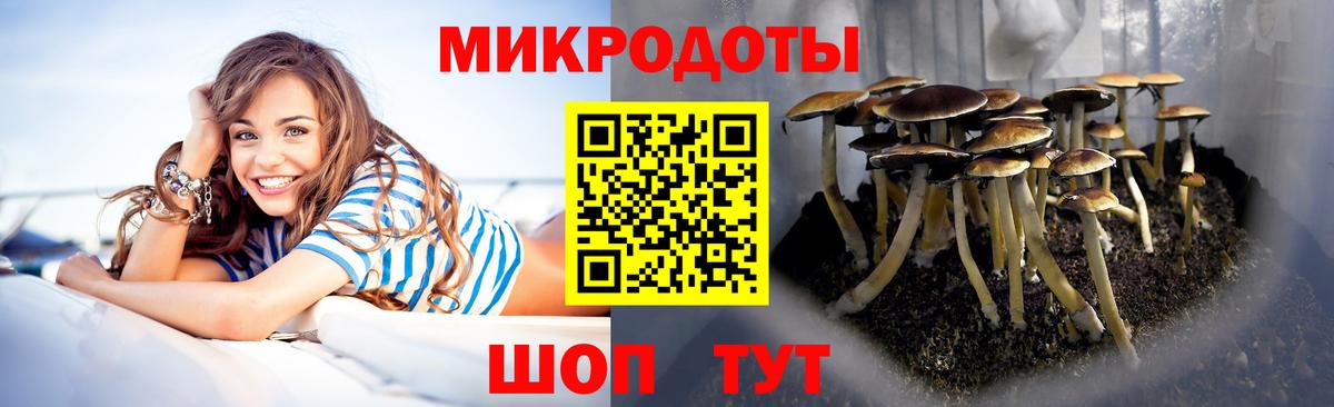 Солнечногорск  Псилоцибиновые грибы MAGIC MUSHROOMS  Вход с VPN  Псилоцибиновые грибы Psilocybe 